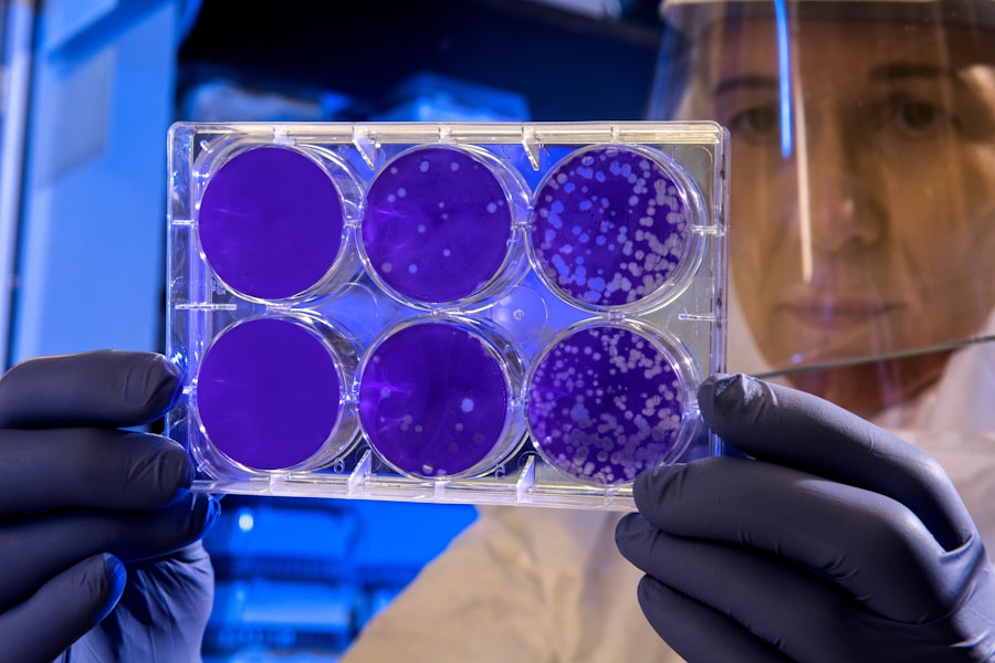Researcher holding purple assay plates in a lab