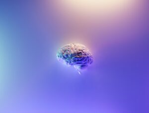 3D brain model floating on a lilac background